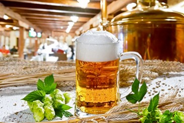 Birre Senza Glutine: i celiaci non devono pi rinunciare alla birra